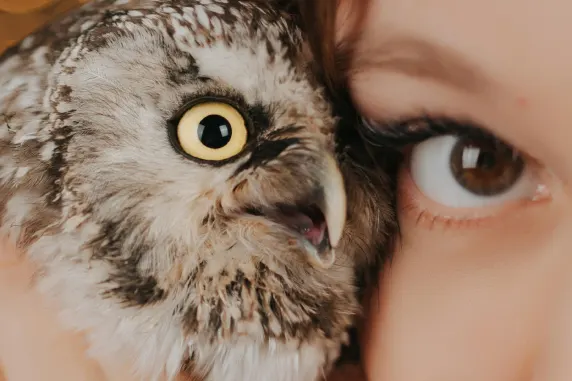 Kasino AllStar Slots Sokongan